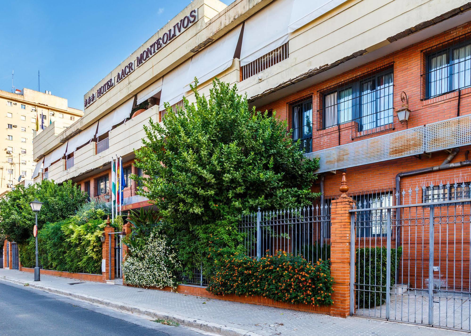 Aacr Hotel Monteolivos إشبيلية المظهر الخارجي الصورة