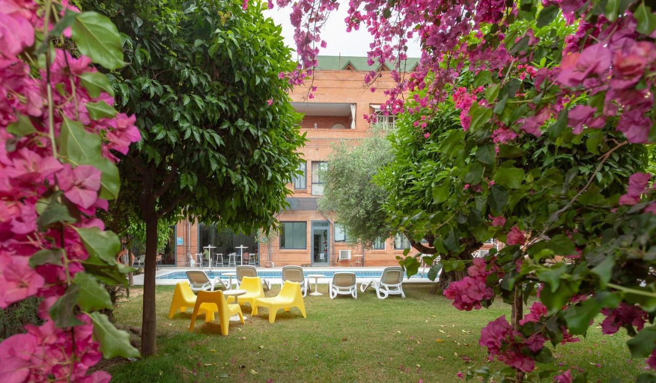 Aacr Hotel Monteolivos إشبيلية المظهر الخارجي الصورة