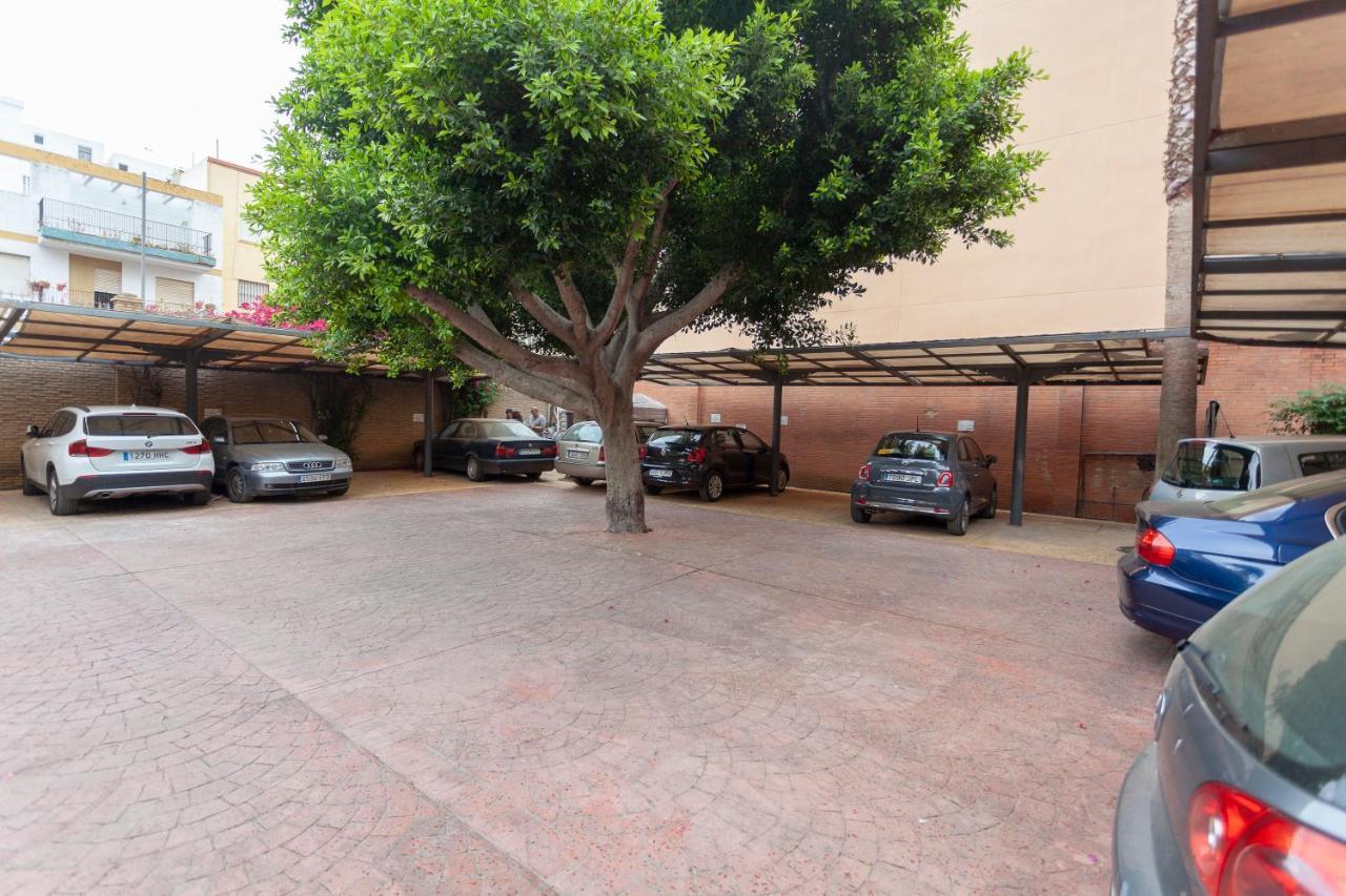 Aacr Hotel Monteolivos إشبيلية المظهر الخارجي الصورة